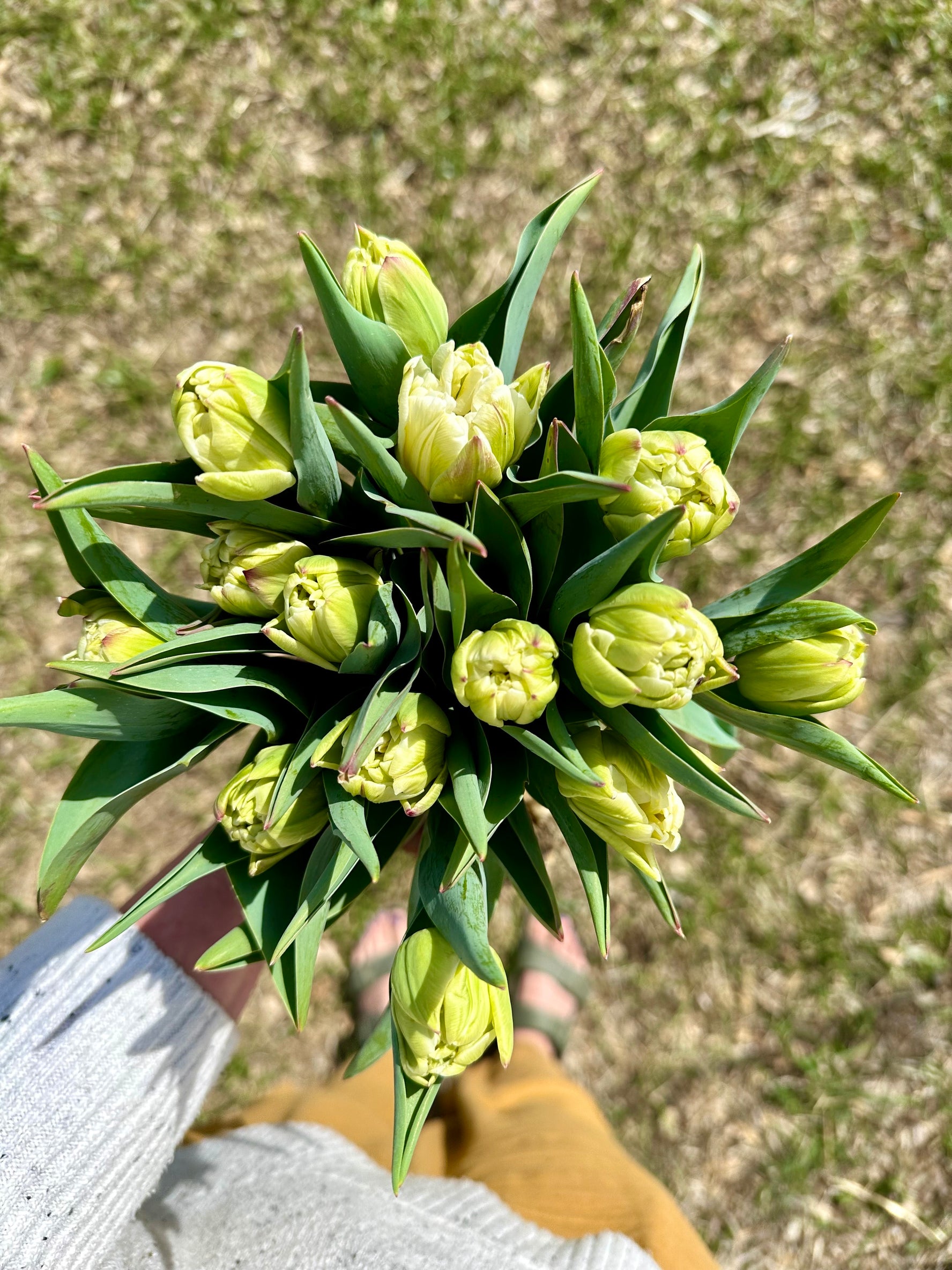 Spring Flower Bouquet PRE-ORDER